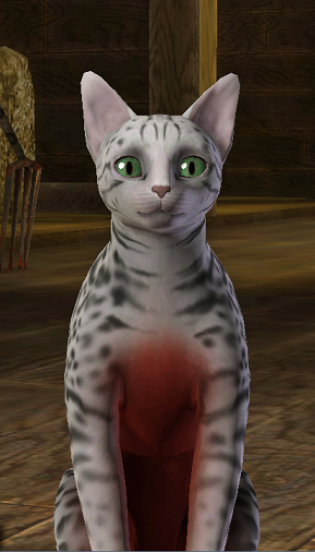 the sims 3 cc m kitten