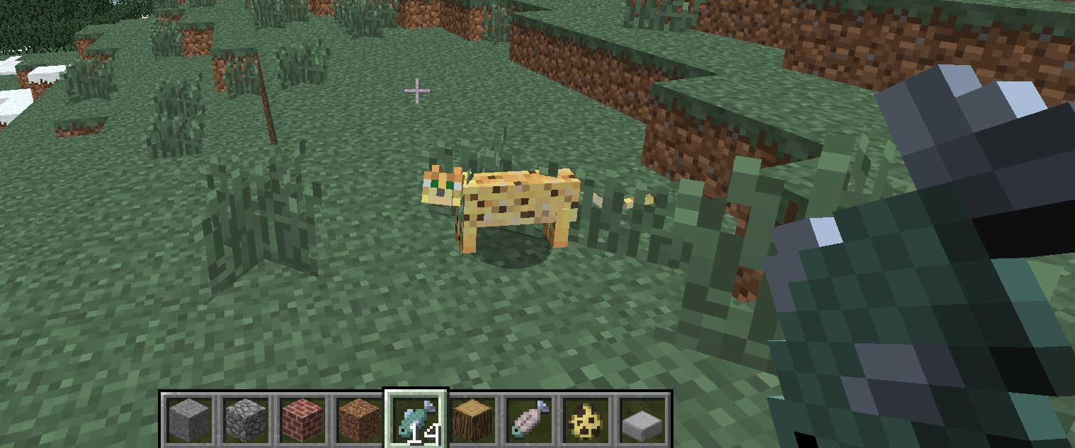 ocelot minecraft cats tame fish curious ocelots raw wordpuncher approaches treat