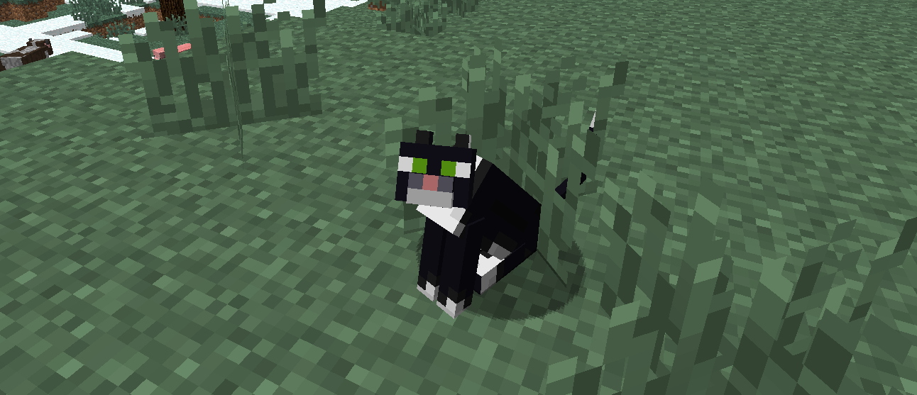 How Do I Untame A Cat In Minecraft