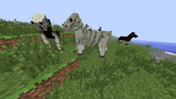 minecraft skeleton horse