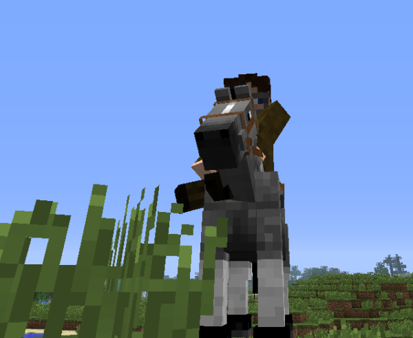 riding a minecraft horse