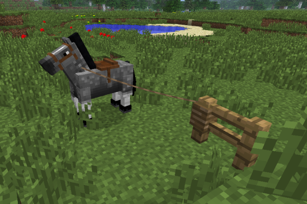 tethered minecraft horse